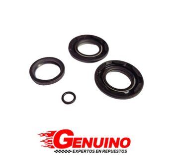 KIT DE DIRECCION HIDRAULICA KIA RIO 03- STYLUS